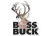 Image of Boss Buck category