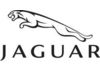 Image of Jaguar category