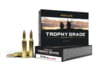 Image of .243 Winchester Ammo category