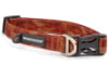 Image of Dog Collars category