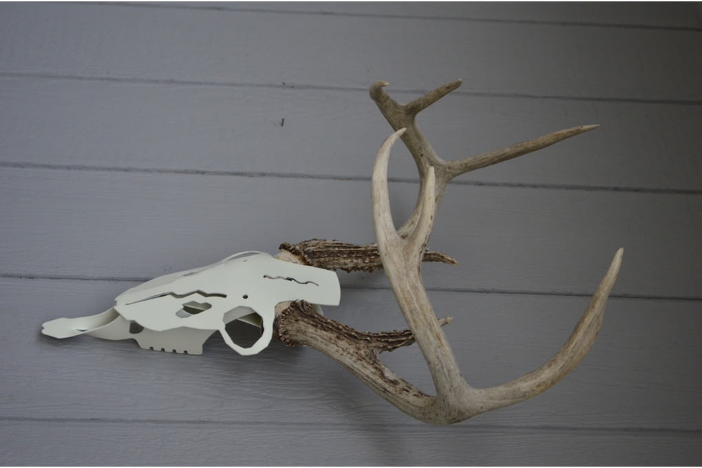 Dead Deer Bonehead Mount, White, EBAM8-img-1