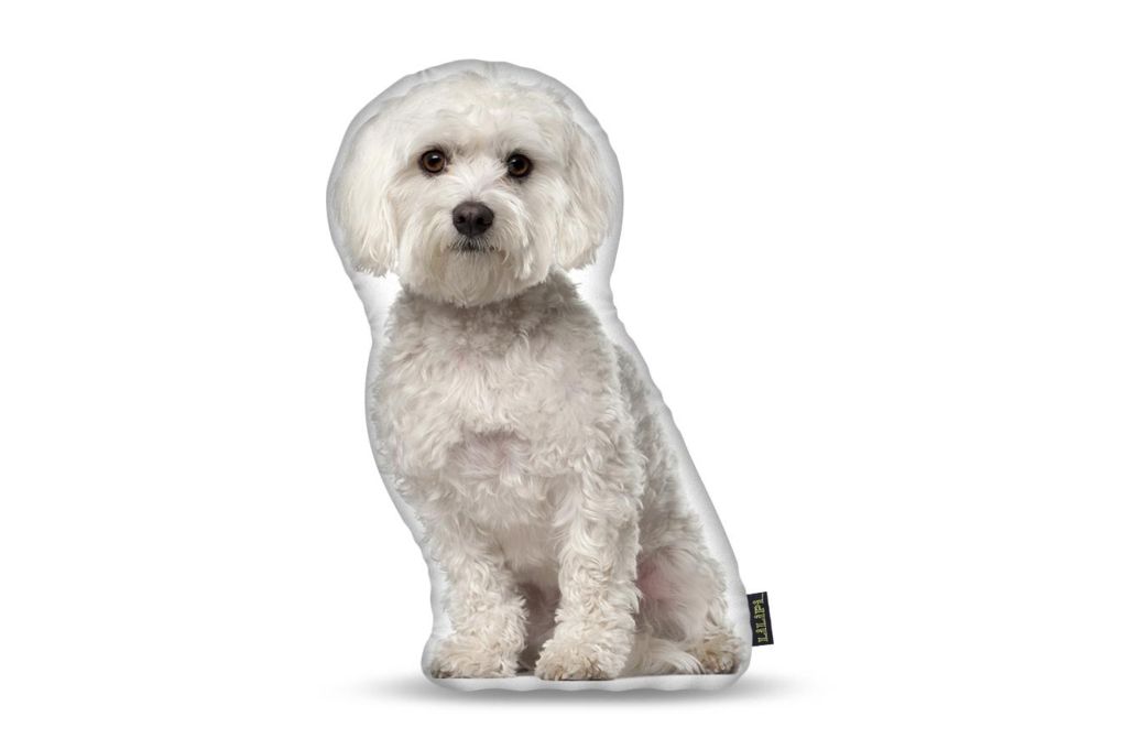 Lifelike Pillows Custom Dog Shaped Pillow Maltese Everything Else 1 Of 2