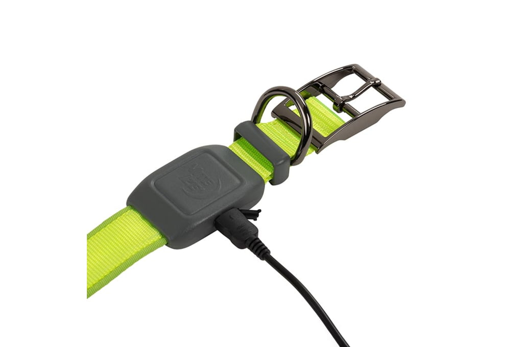 Nite Ize NiteDog Rechargeable LED Collar, Lime/Gre-img-2