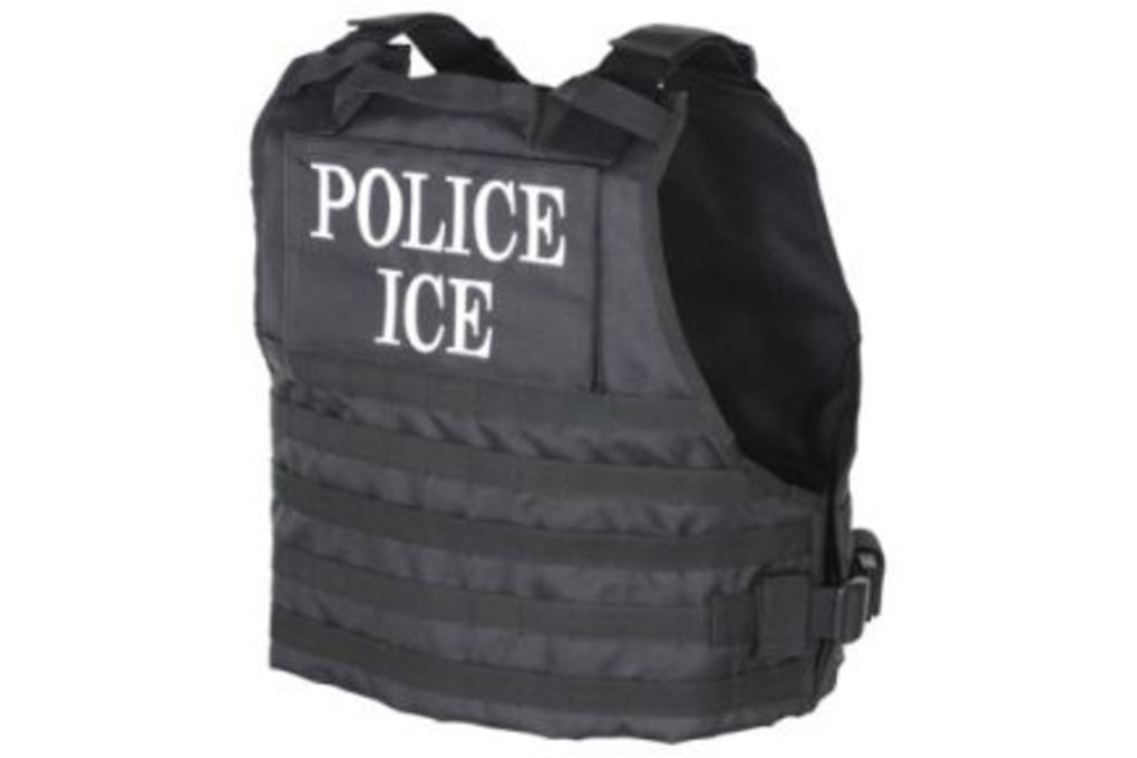 Voodoo Tactical Plate Carrier Vest, Black - Ice, B-img-0