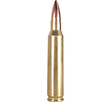 Buy Ultimate Arms Gear 0.223 5.56 Caliber Empty Chamber Ejectable Safety  Load Indicator Brass Bottom Dummy Ammunition Ammo Shell Round, Foldable Pin  Punch Tool Online at desertcartNorway