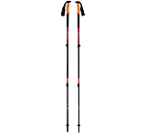 Image of Black Diamond Trail Cork Trekking Poles