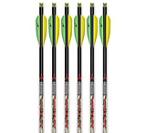 Image of Carbon Express Maxima Badlands Bolts