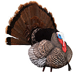 Image of Higdon Outdoors Apex Strutter Hard Body Turkey Decoy