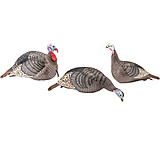 Image of Hunters Specialties Strut-Lite The Flock Decoy