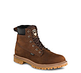 irish setter 2875