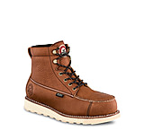 irish setter 2875