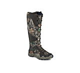 irish setter 2875