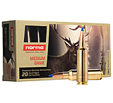 Winchester Ammo S300WMCT Expedition Big Game Hunting 300 Win Mag