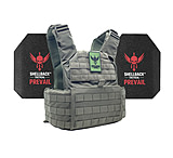 Image of Shellback Tactical Skirmish Level III Steel Plates Armor Kit