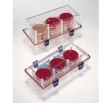 BD Phoenix™ Automated Identification and Susceptibility ...