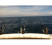 Trolling for Salmon and Steelhead 