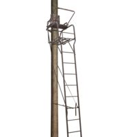 Big dog 2025 ladder stands