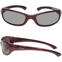 bolle sidney polarized glasses