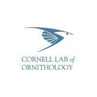 cornell lab of ornithology opticsplanet cooperation cornell lab of ornithology opticsplanet cooperation