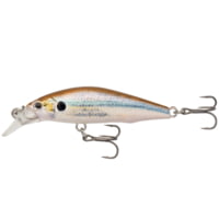 Eurotackle