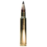 Grizzly Cartridge .338 Winchester Magnum 210 Grain Swift Scirocco Polymer Tip Brass Cased Rifle Ammunition