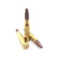 ICC Ammo Gold Elite .308 WIN 125 Grain Frangible Round Nose Brass Rifle Ammunition