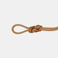 Mammut 8.0 Alpine Classic 60 M Rope - Orange