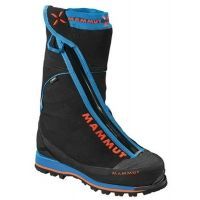 Mammut