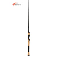 Phenix RTS Inshore Spinning Rods