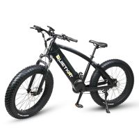 electric bike chain drive