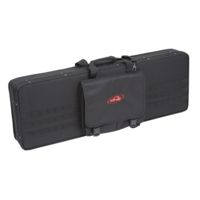 SKB Cases