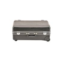 SKB Cases