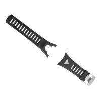 ambit silver strap