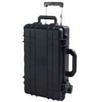 TZ Case