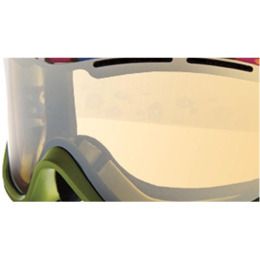 bolle replacement lenses goggles