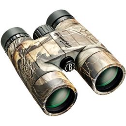 bushnell trophy 10x42