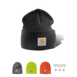 carhartt gold hat