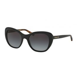 cheap coach sunglasses free shipping