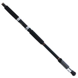 daiwa beefstick 10 ft