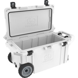 tailgate coolers