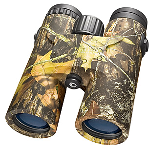 How to best sale buy binoculars