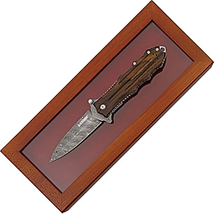 Blackhawk MOD SFK Special Edit Folding Knife,3.875in | Free 