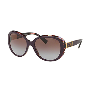 Coach store carter sunglasses