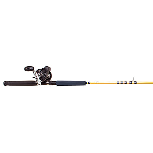 Eagle Claw Starfire Level Wind Rod/Reel Combo