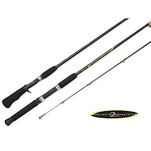 South Bend Black Beauty 2 Bigwater 6'6in Heavy Casting Fishing Rod