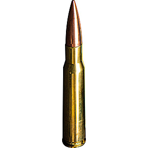 Sniper Rifle 50 Bmg Cal Stock Photo - Download Image Now - Ammunition,  Ammunition Magazine, Animal Nose - iStock