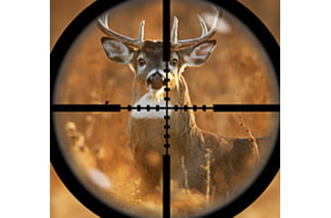 Image of deer in rifle scope reticle crosshairs