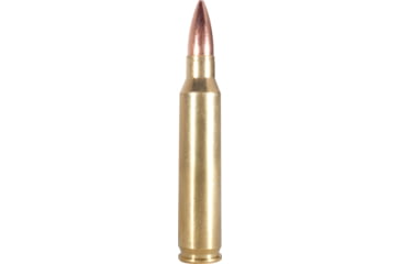 Armscor Precision Inc USA .223 Remington 55 Grain Full Metal Jacket Brass Cased Rifle Ammunition, 20, FMJ