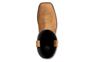 83923 irish setter