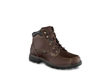 irish setter soft paw 3875